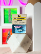 Load image into Gallery viewer, Tiny Shoal of Fish Artwork - Matchbox Message